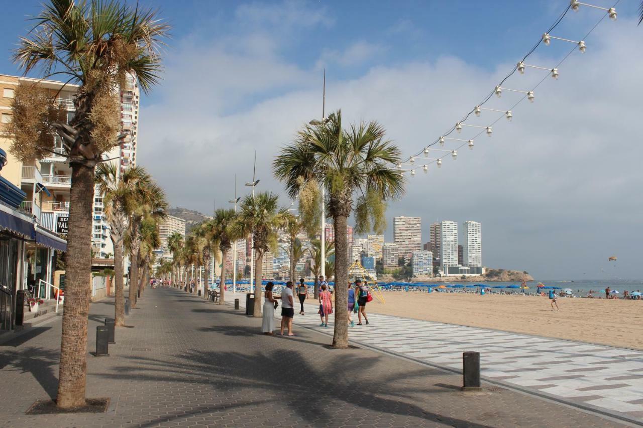 Provima Anis Rincon De Loix Benidorm